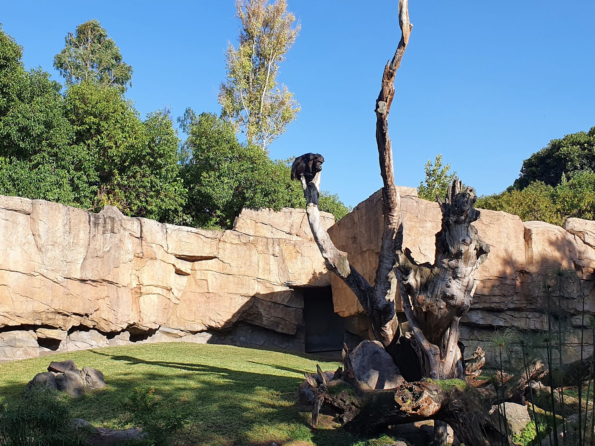 Bioparc Valencia
